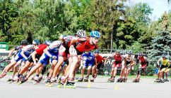 39_79144621_800x600.jpg